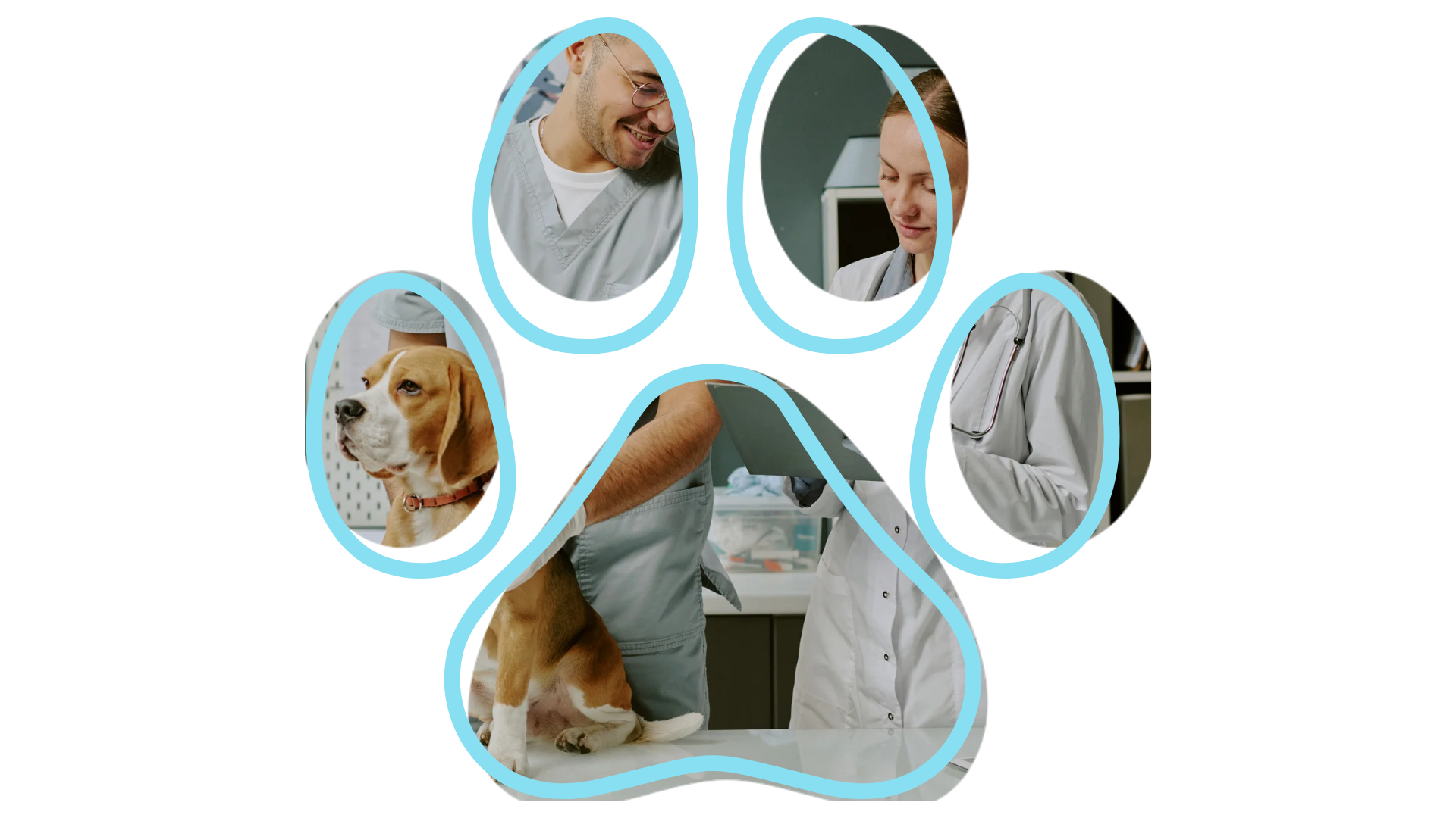 Vet near me team providing care at Frenship Vet Clinic in Wolfforth